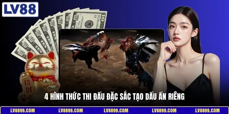 4 hình thức thi đấu đặc sắc tạo dấu ấn riêng