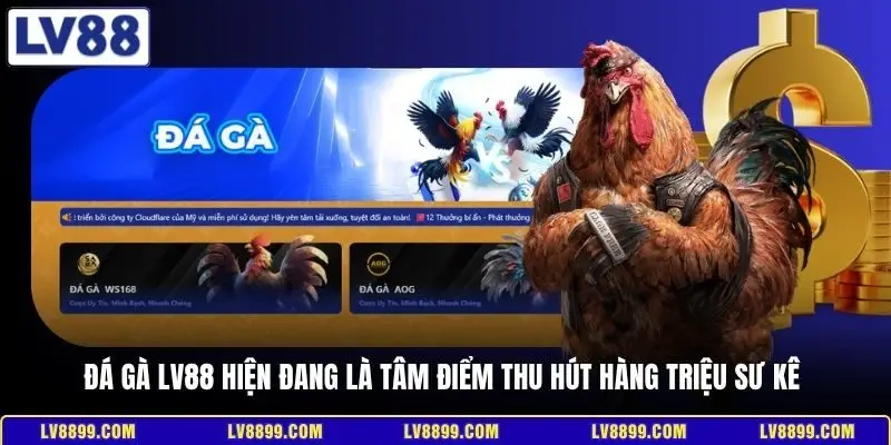 Đá gà LV88 hiện đang là tâm điểm thu hút hàng triệu sư kê