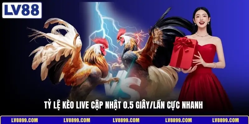 Tỷ lệ kèo live cập nhật 0.5 giây/lần cực nhanh 